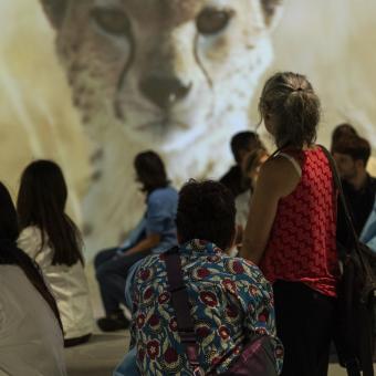 Un grup de persones gaudint de l'experiència immersiva.