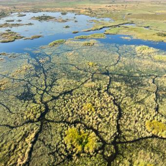 Imagen del documental «Kaza. El último refugio de elefantes», conducido por el periodista Xavier Aldekoa.