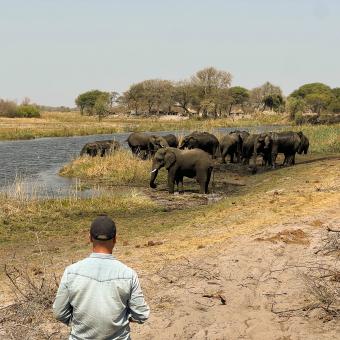 Imagen del documental «Kaza. El último refugio de elefantes», conducido por el periodista Xavier Aldekoa.