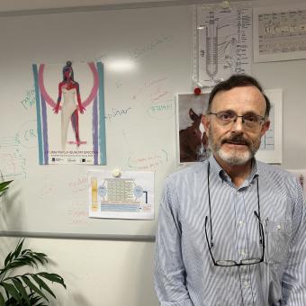 Antonio Ferrer Montiel.