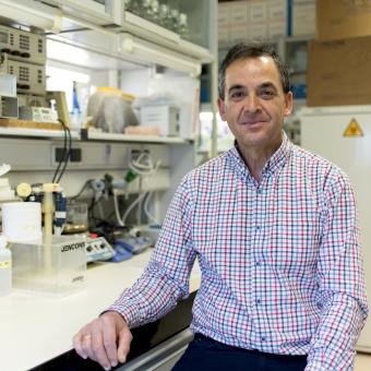  Isidro Sánchez-García.