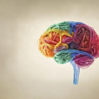 La Esclerosis Múltiple, conocida como la enfermedad de las mil caras, se manifiesta de forma distinta en cada persona.