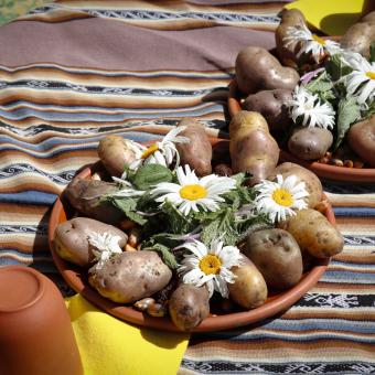 Aperitivo ofrecido por ATIPTALLA durante las rutas andinas.
