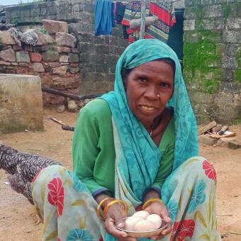 Gracias al programa Work4Progress y ActionAid, Siviya se dedica a la avicultura y ahora tiene una pequeña granja de gallinas. 