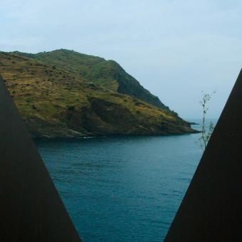 Eclosió. Escenes del debut operístic de Ros-Marbà, de Albert Pons.