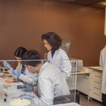 Patricia Pozo's team of researchers working in the laboratory.