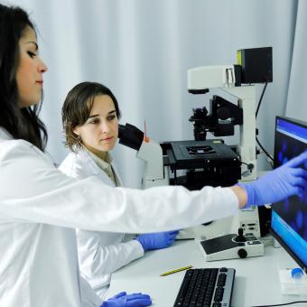 Two researchers working in a laboratory.