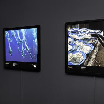 Algunas de las fotografías del ámbito azul de la exposición Colores del mundo en CaixaForum Palma. 
