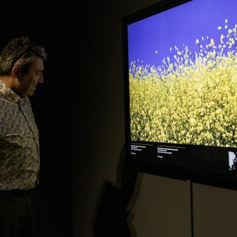 Un visitante observa una de las imágenes protagonizadas por el color amarillo.