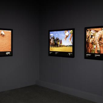 Algunas de las fotografías del ámbito rojo de la exposición Colores del mundo.