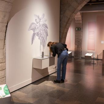 Una dona s'informa sobre una de les plantes protagonistes de l'exposició «La botànica en l'art» a CaixaForum Girona.