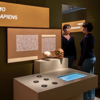 L'exposició mostra l'evolució de les espècies.