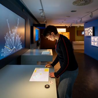 Una visitant amb l'arbre de les llengües de l'exposició a CaixaForum Lleida.