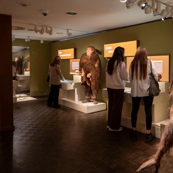 Vista de la part de l'exposició referent a l'evolució de l'espècie humana.