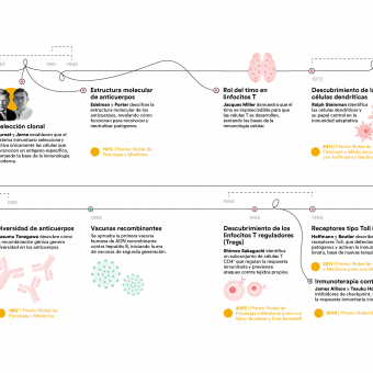 Infografía sobre la evolución de la inmunología (parte 2).