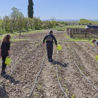 Niños aprendiendo a cultivar la tierra durante las colonias de Semana Santa. 