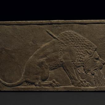 Bajorrelieve mural en yeso de un león herido de muerte por una flecha, 645-640 a. de C., palacio norte, Nínive (Irak). 1992,0404.1.