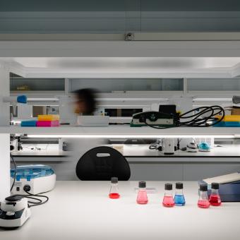 Matraces Erlenmeyer y mezclador en uno de los laboratorios del CaixaResearch Institute.