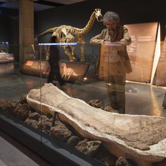 El coordinador de la exposición, Alejandro Pérez, con un holotipo de Patagotitan.