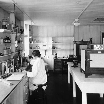 Científica investigant al Central Cancer Research Laboratories als anys 30.