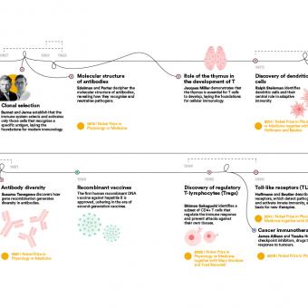 Infographic of the evolution of immunology (part 2).
