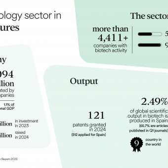 Infographic of the biotechnology sector in Spain.
