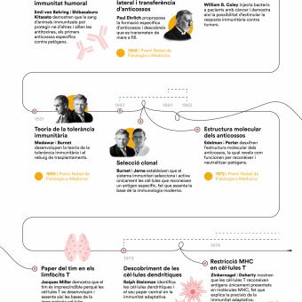 Infografia vertical sobre l'evolució de la immunologia (part 2).