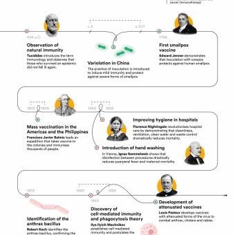 Vertical nfographic of the evolution of immunology (part 1).