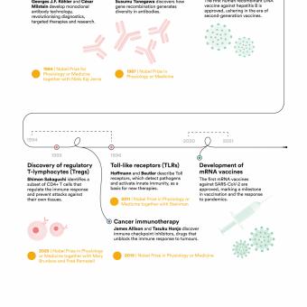 Vertical nfographic of the evolution of immunology (part 3).