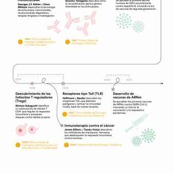 Infografía vertical sobre la evolución de la inmunología (parte 3).