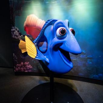 El personaje de Dory permite entender más sobre la importancia de la luz en las escenas.