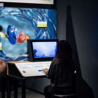 Una visitante interactúa con el módulo de simulación del movimiento de los peces.