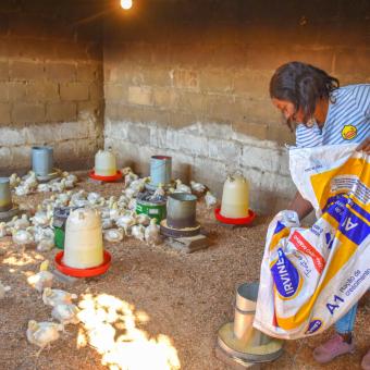 Assucenia José working on her chicken farm.