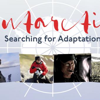 Imatge del documental Antartica, Searching for Adaptation, del festival Suncine.