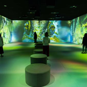 Visitantes recorren la primera sala de la exposición en CaixaForum Madrid.