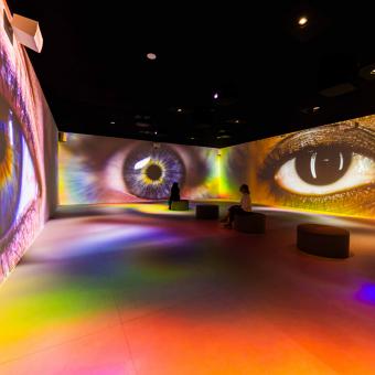 Visión general de la primera sala de la exposición Somos Naturaleza, en CaixaForum Madrid.