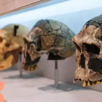 Imatge de la conferència Paleoantropologia de la xenofòbia, al Palau Macaya.