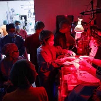 El equipo de BCNatal prepara de sistema para la transición neonatal. 