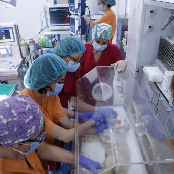 El equipo de BCNatal con un neonato modelo ovino en la incubadora convencional tras su paso por el sistema de incubadora líquida.