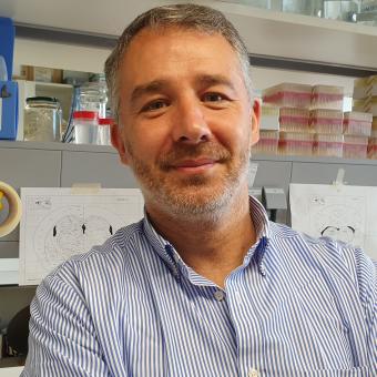 Miguel López, doctor en Biología, catedrático de la Universidade de Santiago de Compostela y director del grupo NeurObesity.