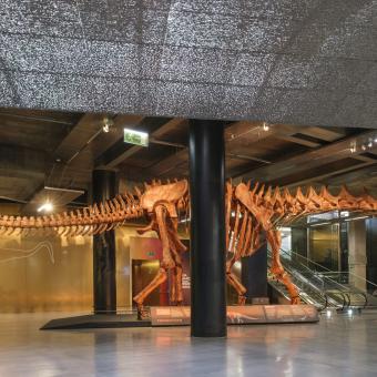 Réplica de «Patagotitan mayorum» en CaixaForum Sevilla. 