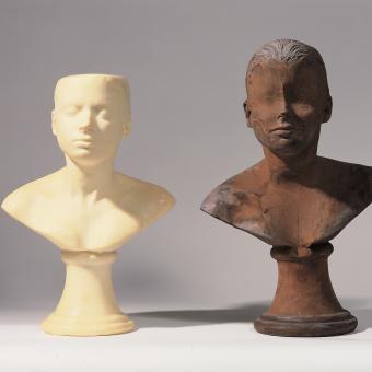 Janine Antoni, Lamer y enjabonar, 1993.
