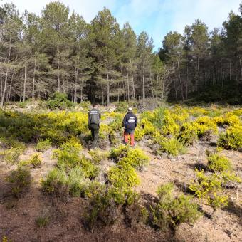 Agentes medioambientales inspeccionando la zona.