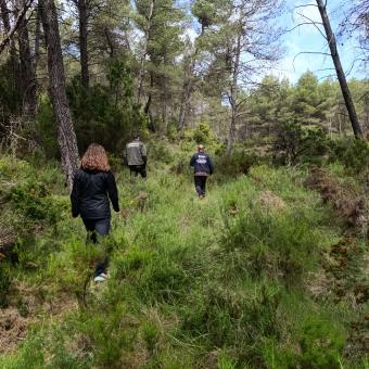 Agentes medioambientales inspeccionando una zona abandonada.