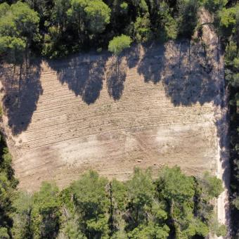Un bancal recuperado a vista de dron.