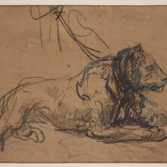 Rembrandt, Lleona encadenada, c. 1638-1642.