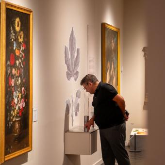Un visitant a l'exposició «La botànica de l'art»