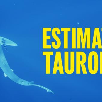 Estimats taurons, dirigit per Ana Montserrat. 