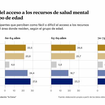 Infografía sobre la percepción del acceso a los recursos de salud mental según el grupo de edad.