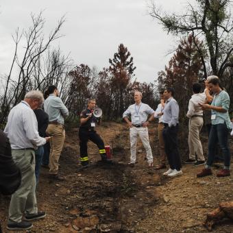 Visita a una de les zones afectades per l'incendi de Les Gavarres.